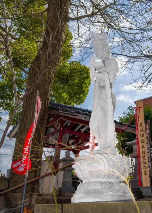 めだか