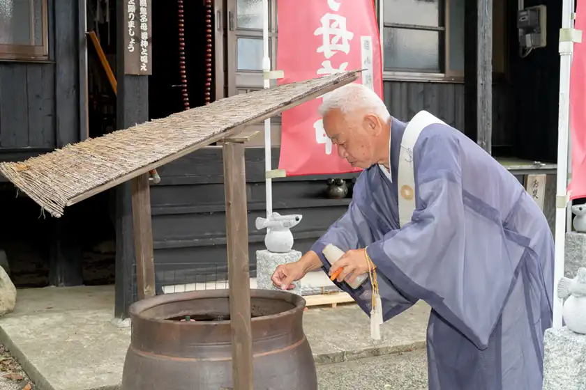 めだかの飼育